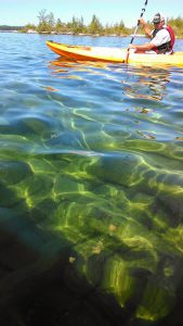 shallow water shipwreck kayak tour