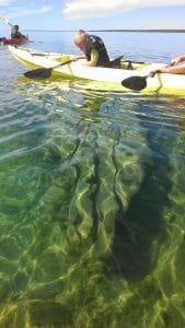 kayak tour of shipwreck in door county