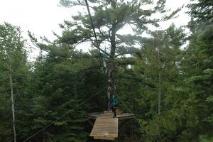 pine tree platform door county kayaking