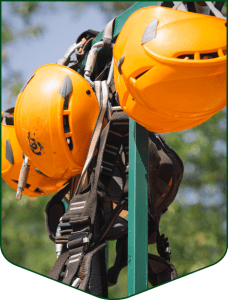 zip line tour equipment