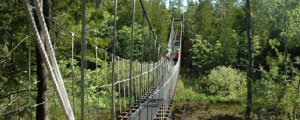 zipline suspension bridge door county