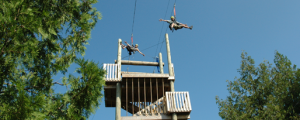 side by side zipline in door county